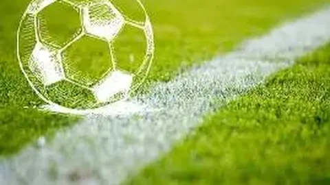 “2025澳门世界杯选手阵容揭晓，樊振东退出比赛阵容”